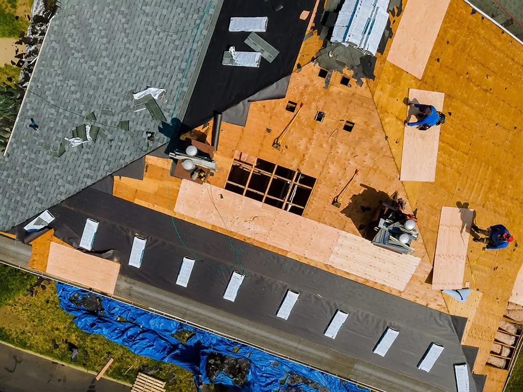 Aerial view of a roof replacement project with workers installing plywood sheathing and asphalt shingles, roofing materials staged across the surface, and a blue tarp on the ground during a home roof installation.