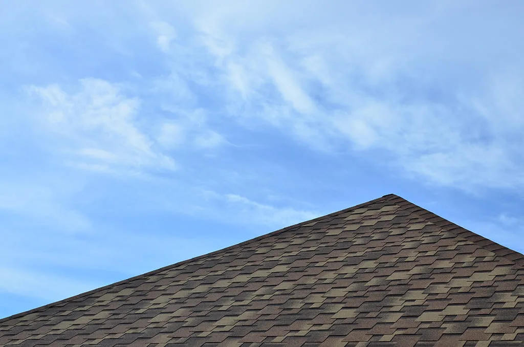 Shingle roofing installation services in Dallas