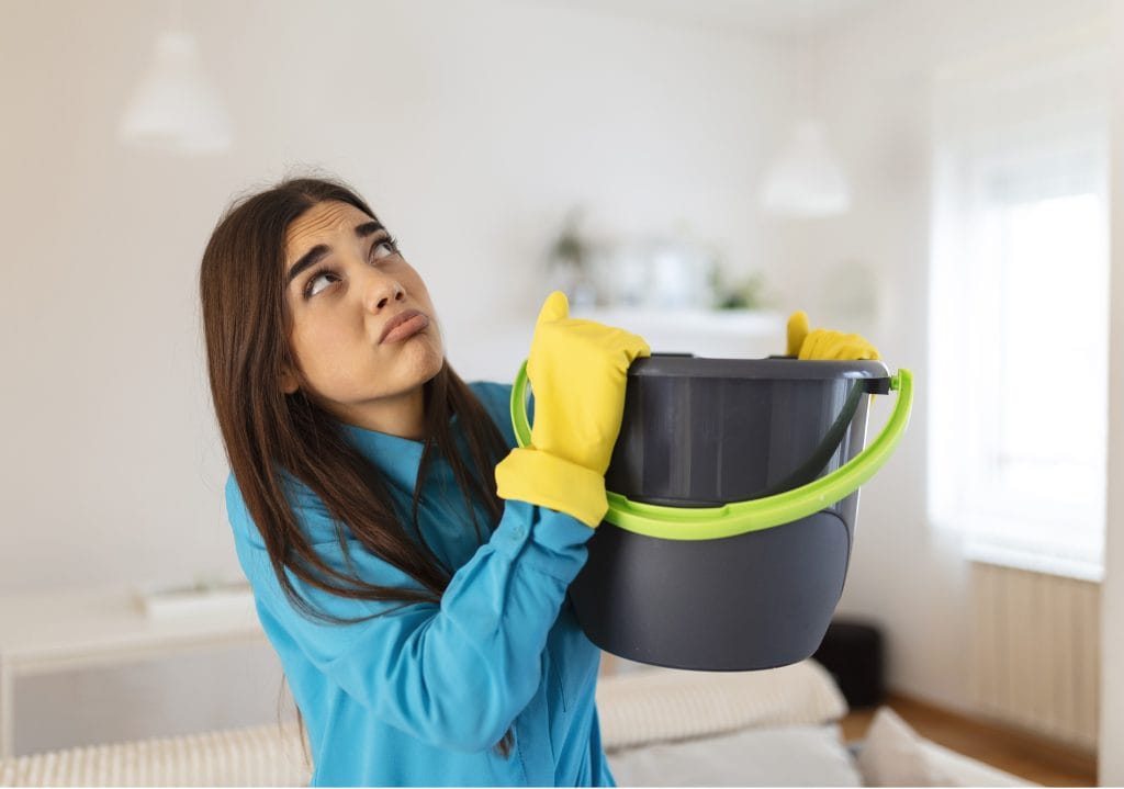 Emergency Roof Leak Repair Services