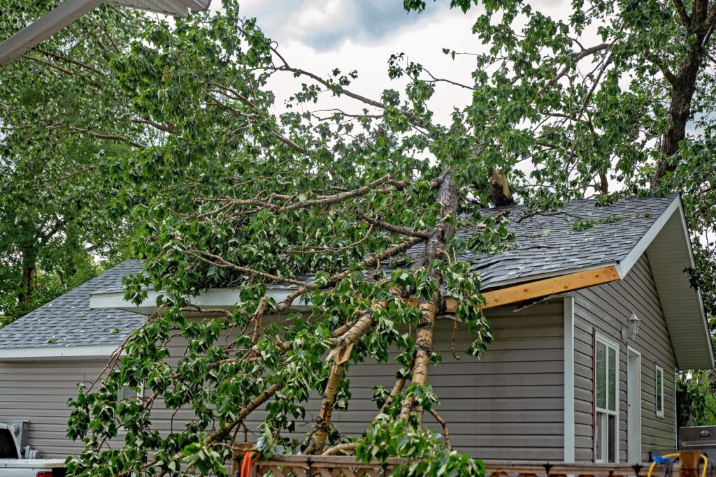 Storm Damage Roof Repair in Dallas.