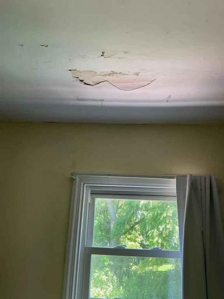 Leaky Roof Repair