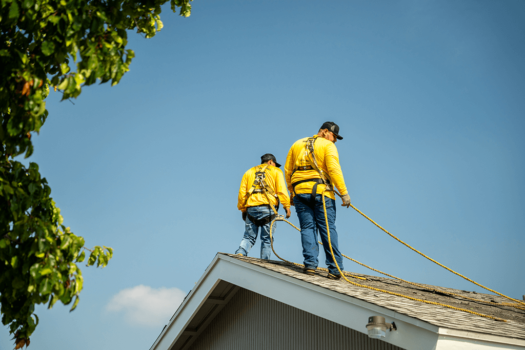 Bumble roofing workers on a shingle roof