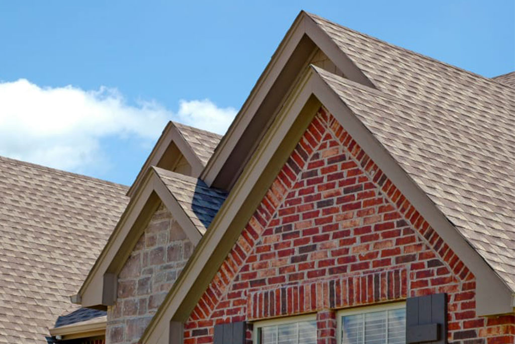 shingle roof