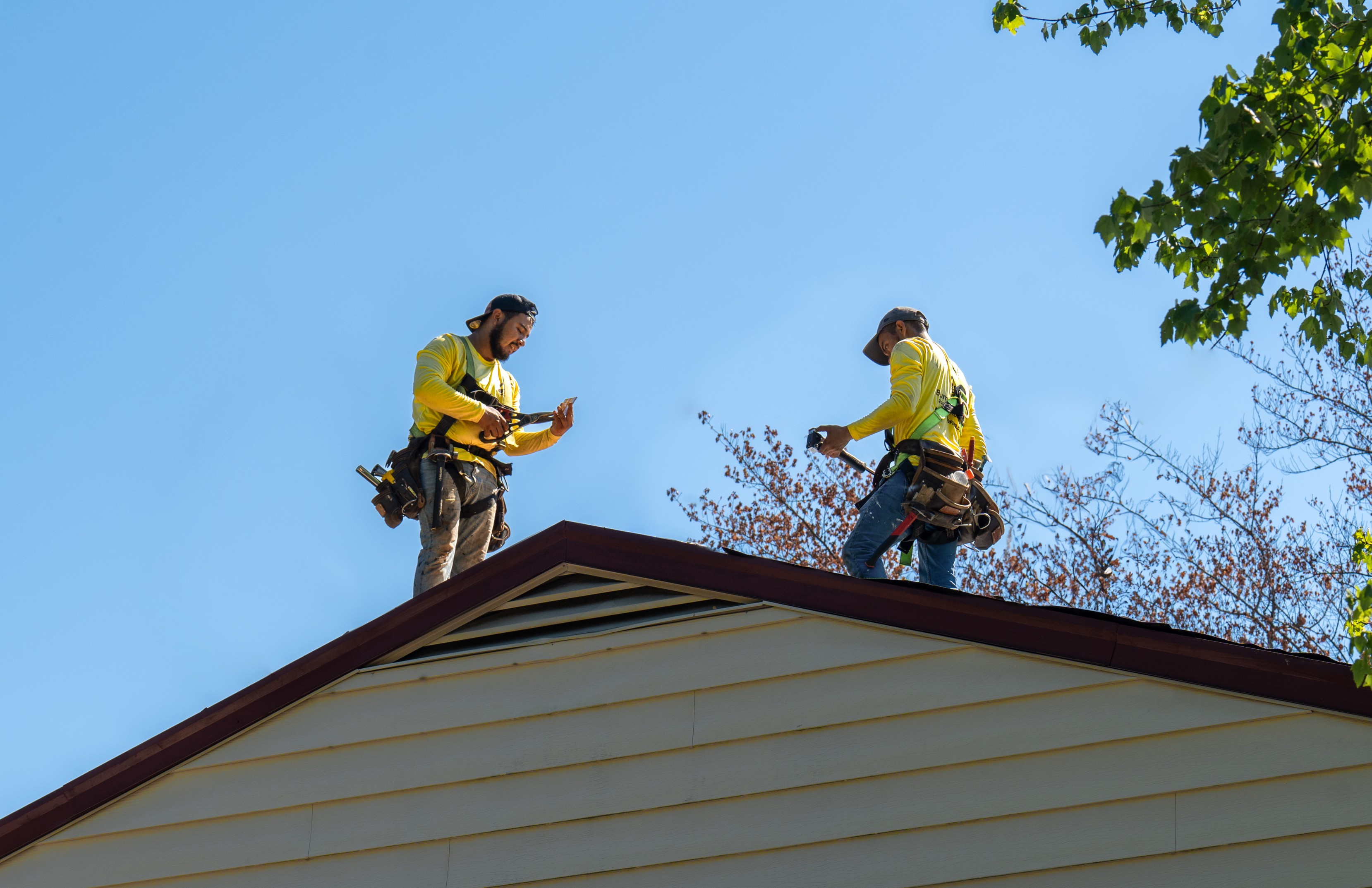 Roof Tune Up Image