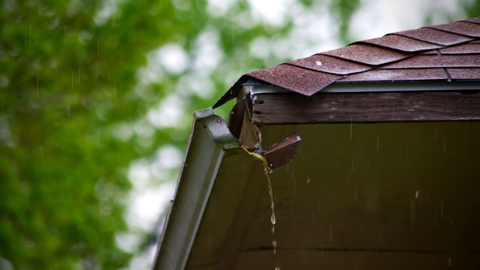 Curated visual reference: Visual Reference: Should Gutters Be Replaced During A Roof Replacement