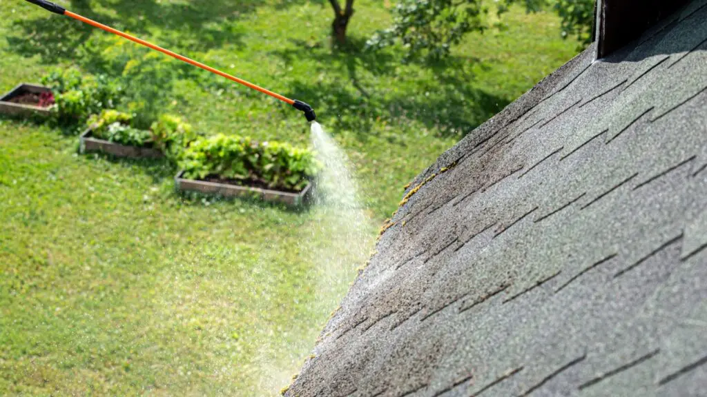 Bumble Roofing cleans off roof algae during a roof rejuvenation service in Richmond, VA.